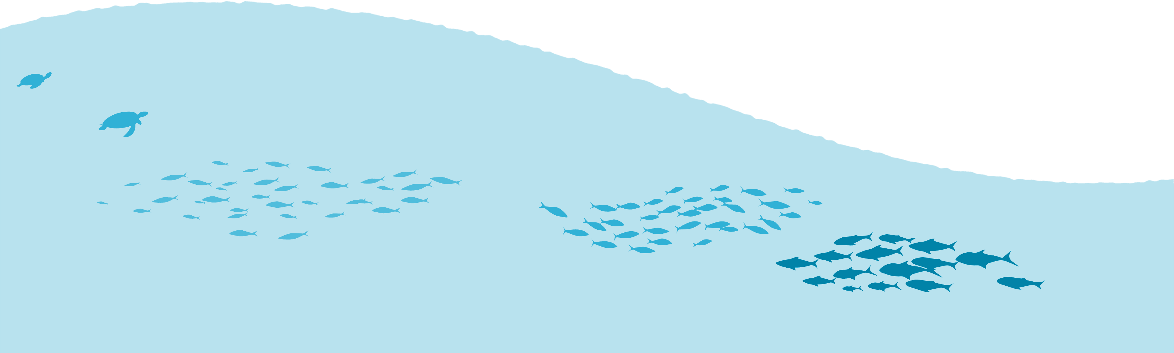 山と泉