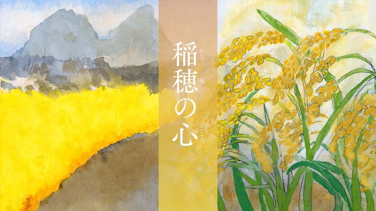 稲穂の心