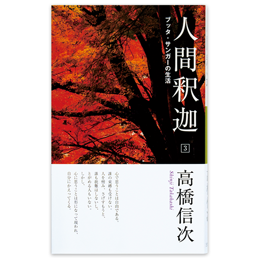 最終値下げ→￥3万→7千→高橋信次～音声CD-R×3枚～心行解説